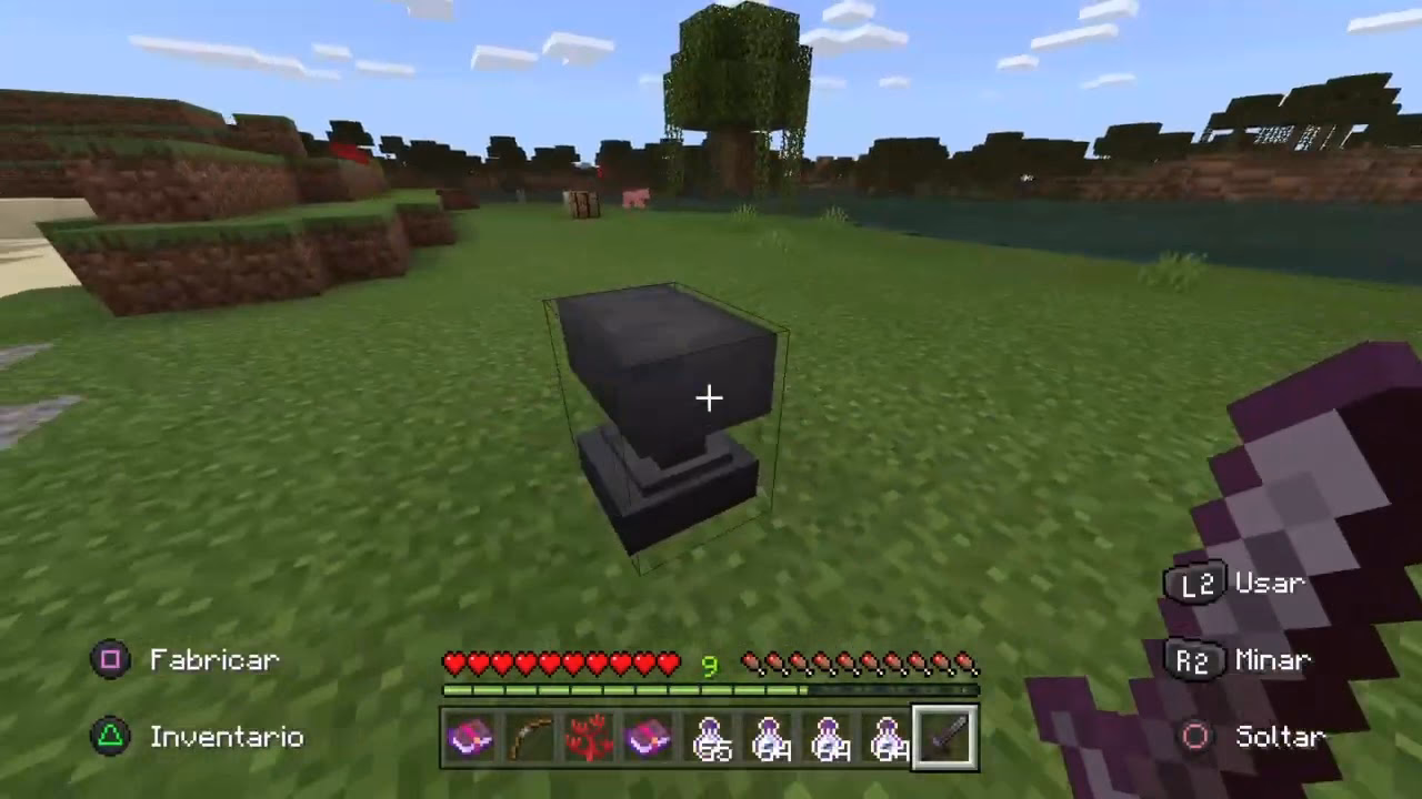 ¿Qué son los libros encantados?