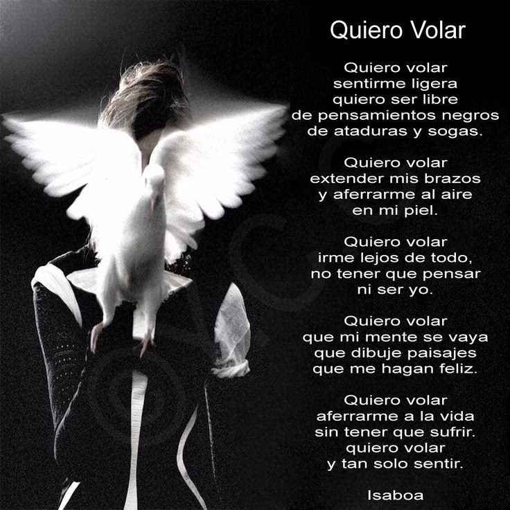 ¿Qué significa ser libre y volar?