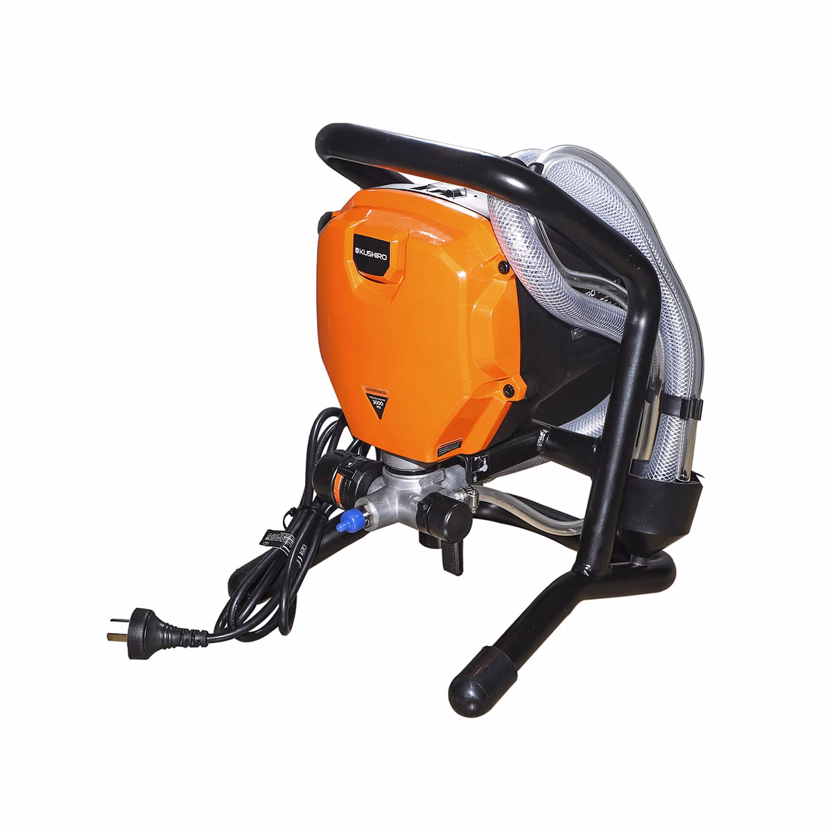 ¿Cuánto cuesta pintar un Rin?