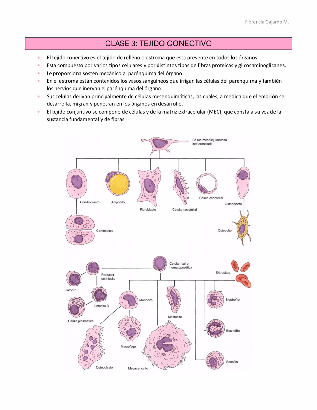 ¿Qué son las células libres?