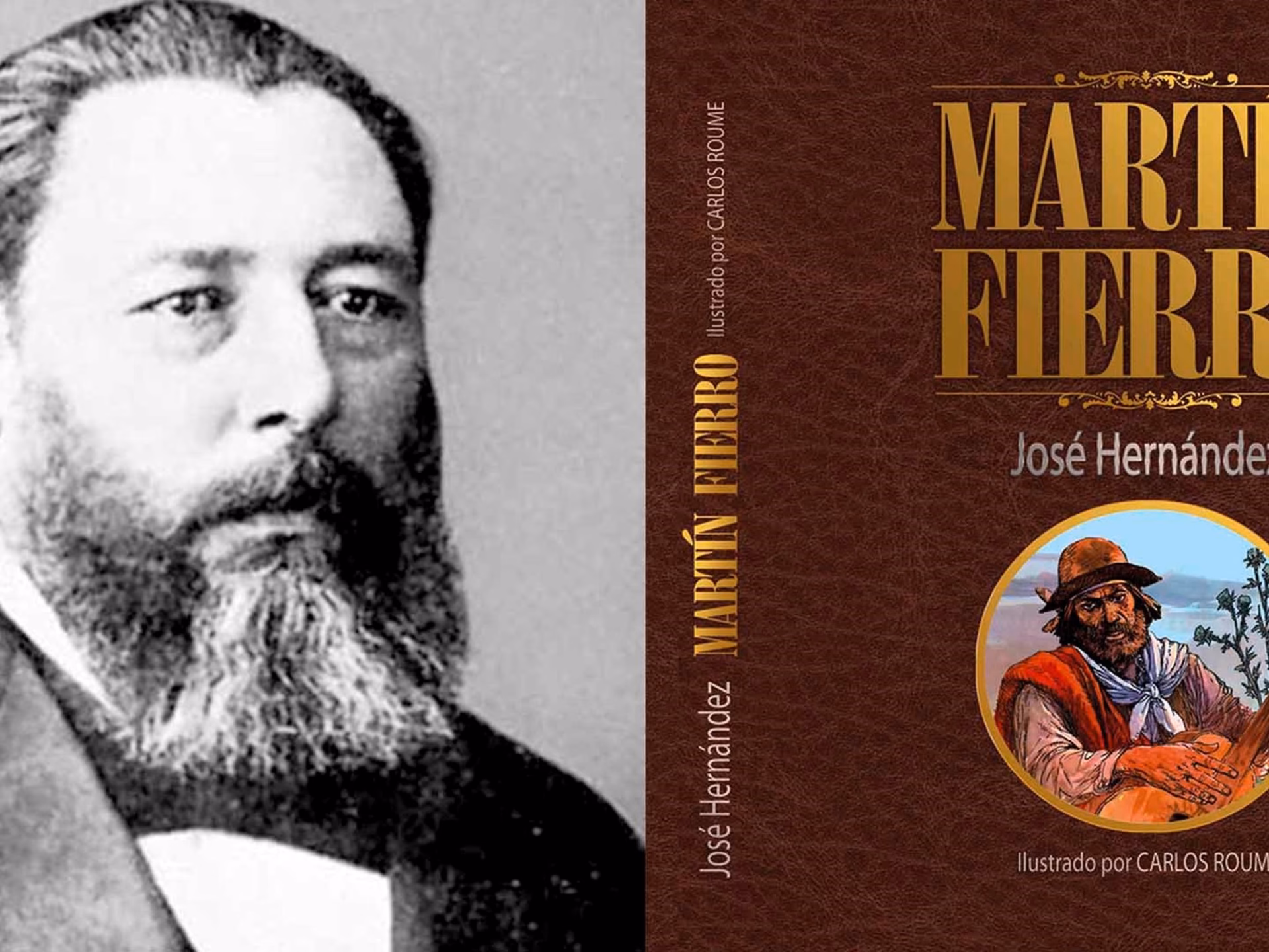 ¿Cuál es el mensaje principal de Martín Fierro?