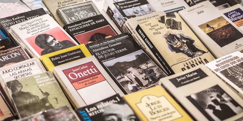 ¿Cómo se divide la estructura de una novela?