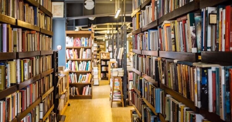 ¿Cómo atrapar moscas y mosquitos en casa?