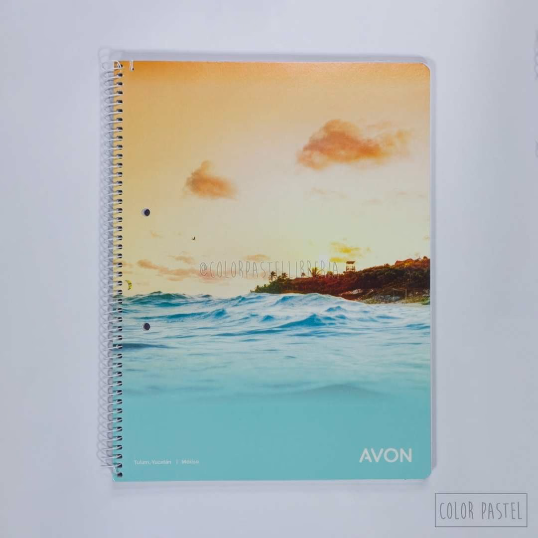 ¿Cuáles son los mejores Cuadernos para regalar?