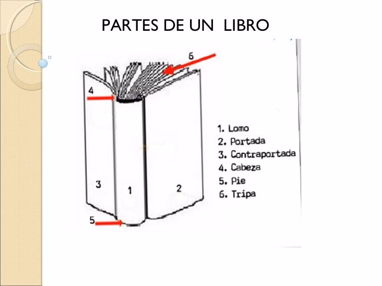 ¿Qué es la estructura externa de un libro?