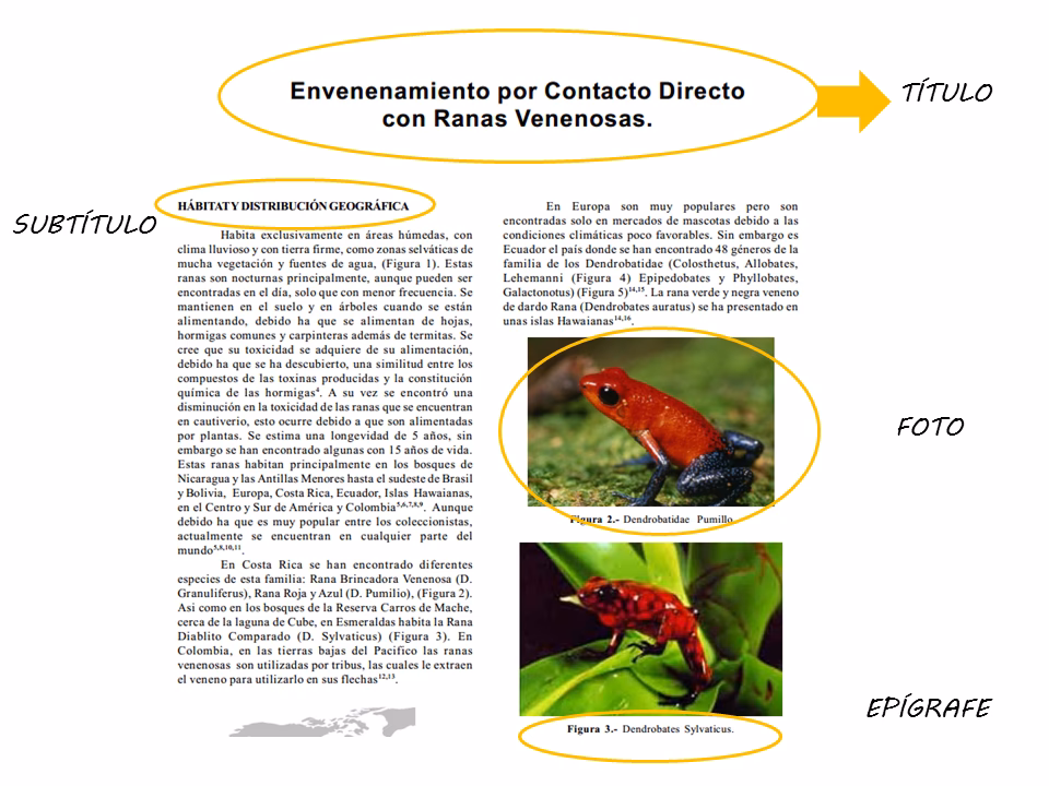 ¿Cuál es la diferencia entre paratexto y texto?