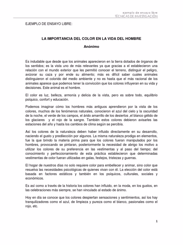 ¿Qué es un ensayo literario?