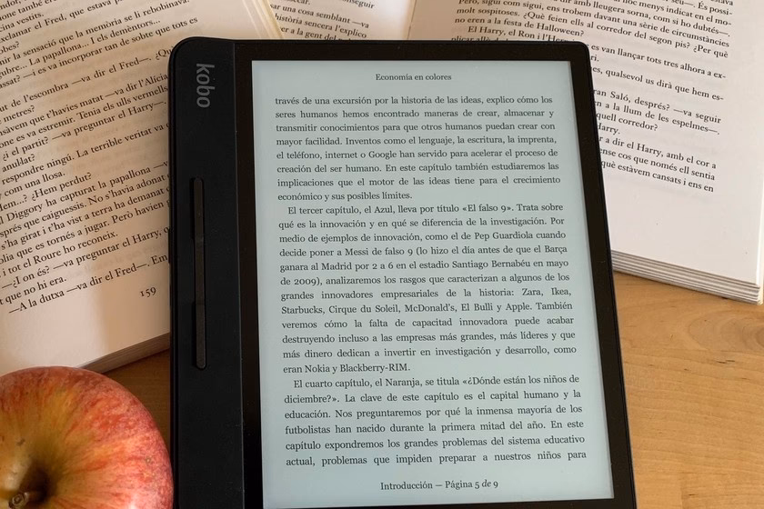 ¿Qué se debe considerar al comprar un eBook?