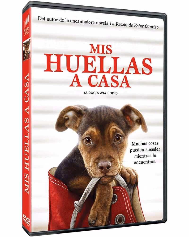 ¿Quién es el autor de mis huellas casa?