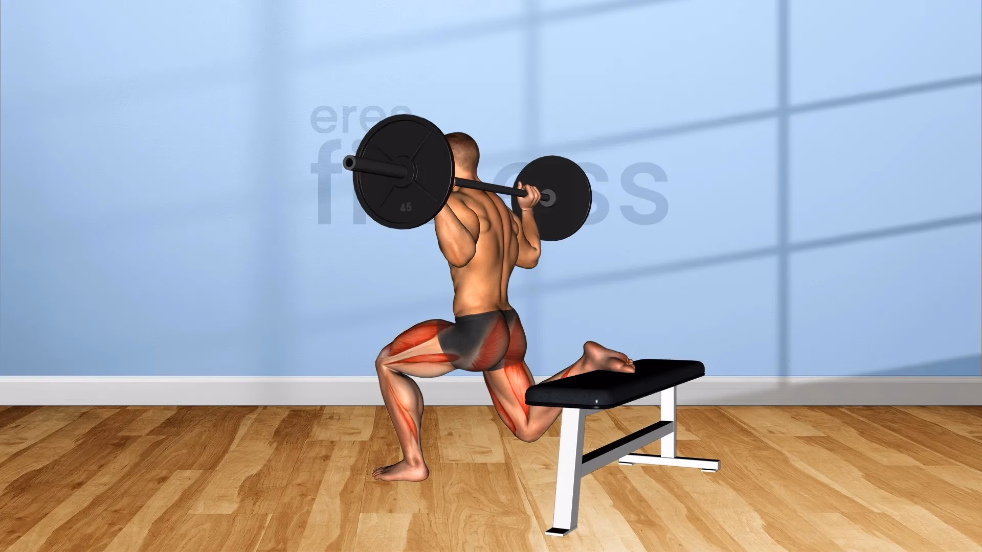 ¿Qué es la sentadilla libre con barra?