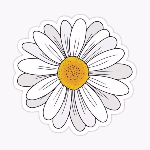 ¿Qué son los stickers y etiquetas?