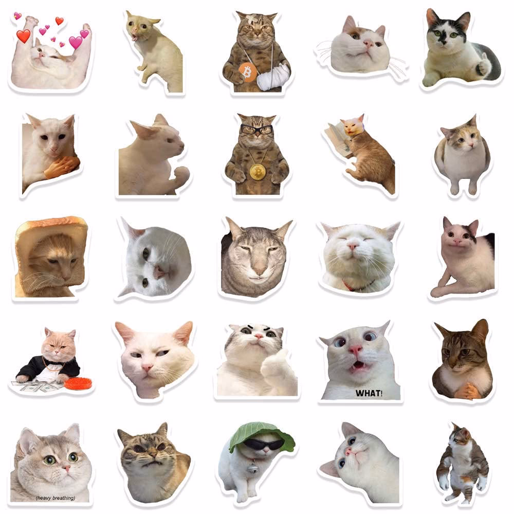 ¿Cómo puedo personalizar los gatitos?