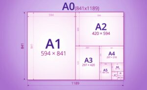 Papel Oficio: Tu Guía Completa de Medidas y Usos | Librería la Tijera