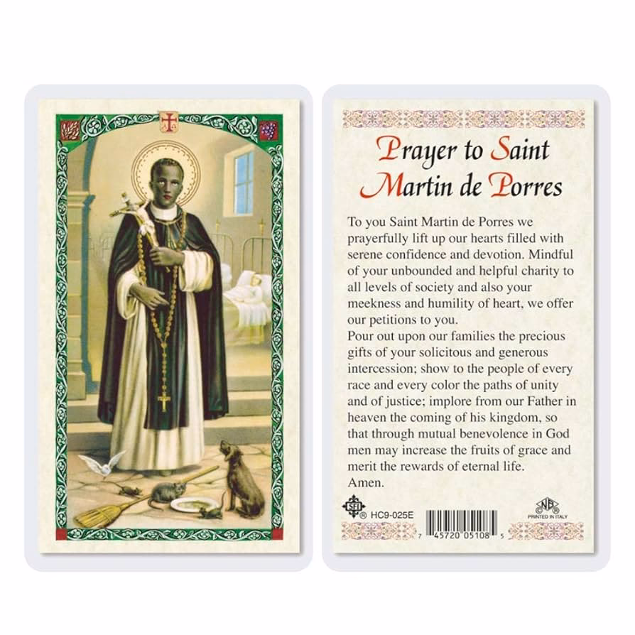 ¿Dónde se encuentra la solicitud de la tarjeta Mi San Martín?