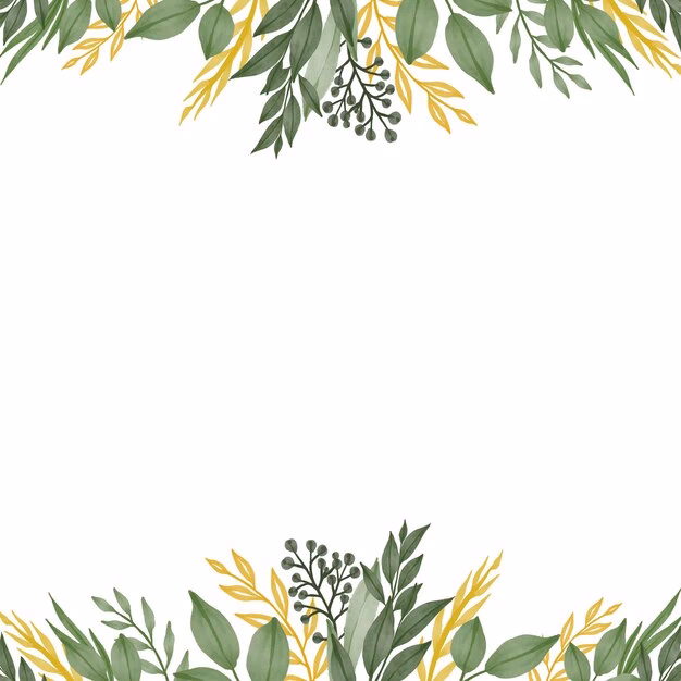 ¿Cuáles son las características de las tarjetas de visita?