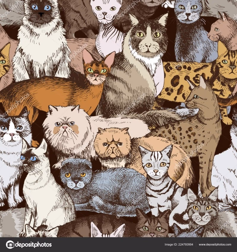 ¿Cuál es la mejor tela para gatos?