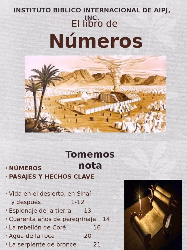 ¿Cuál es la historia del libro de números?