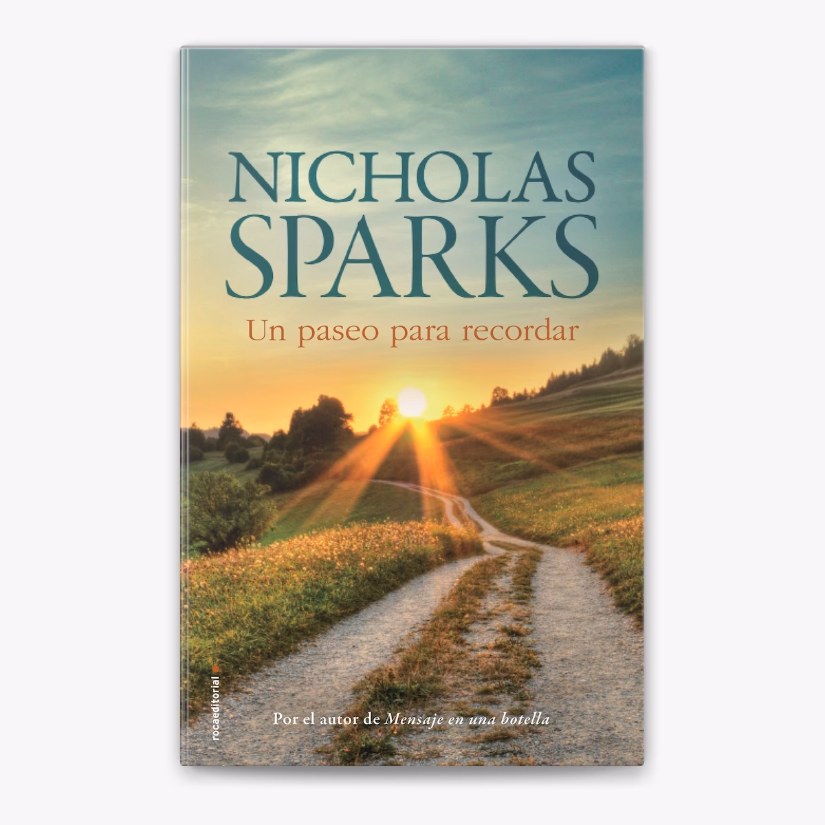 ¿Qué es un libro para recordar que ha pasado un año?