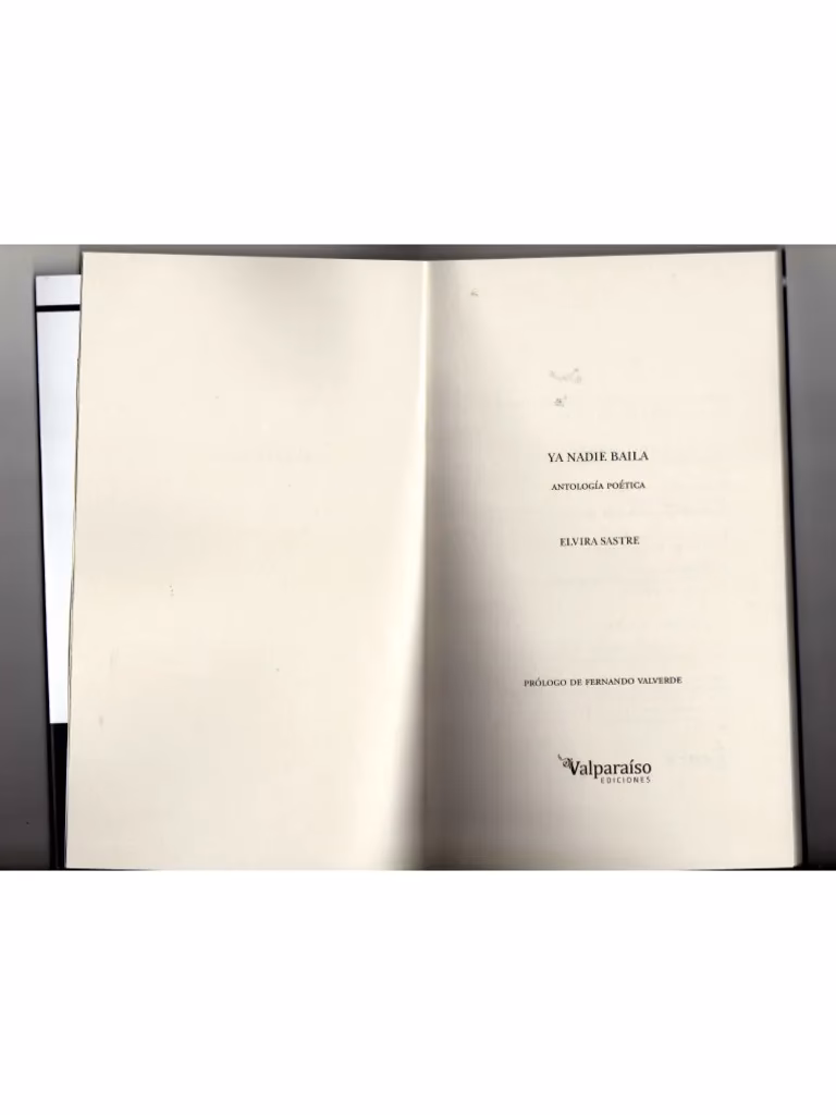 ¿Qué es la novela palabra de nadie?